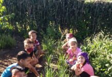 Fuerzas de Acción Pioneril presentes en este verano