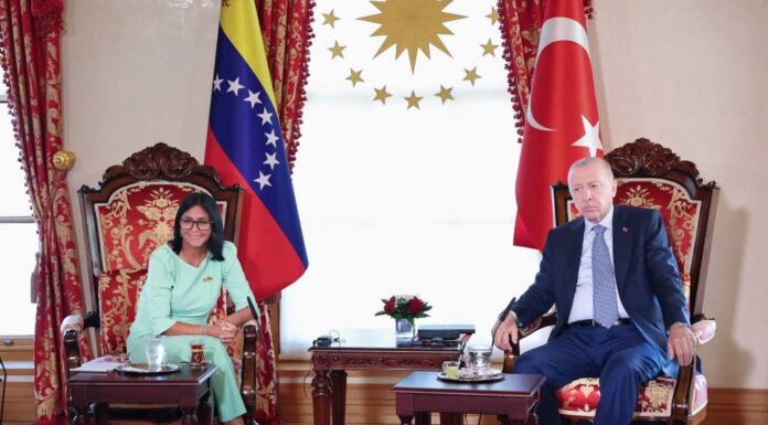 Delcy Rodríguez estima cordial reunión con Recep Tayyip Erdoğan