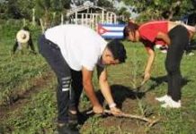 Activarán Fuerzas de Acción Pioneril