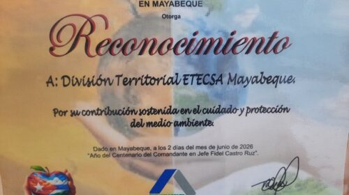 FOTO 2(2)