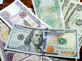 ¿El dólar es la solución?