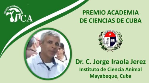 Premio Academia de Ciencias para investigador del Instituto de Ciencia Animal ICA
