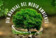 Cuidar el medio ambiente: una batalla que también se libra desde Mayabeque