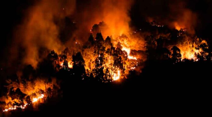 Cuba expresa solidaridad con España por incendios forestales