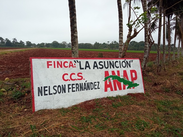 FOTO 1- Cooperativa lajera destaca en la producción