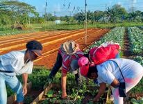 La Asunción: MI barrio por la Patria