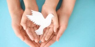 La paz mundial, un sueño aún por lograr