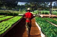 Destaca formación de tecnólogos agrícolas.