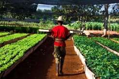 Destaca formación de tecnólogos agrícolas.