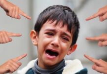 La empatía no se enseña en los pupitres: nace en el sofá de casa