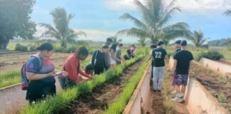 Estudiantes de primer año de la UNAH visitan por primera vez la Granja Universitaria El Guayabal