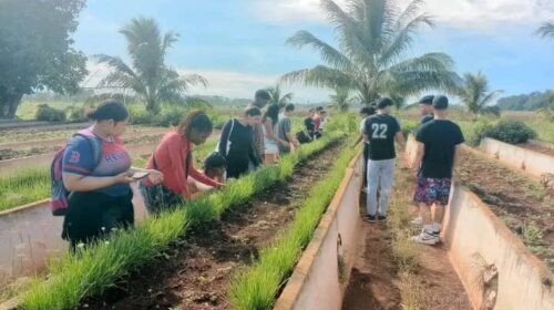 Estudiantes de primer año de la UNAH visitan por primera vez la Granja Universitaria El Guayabal