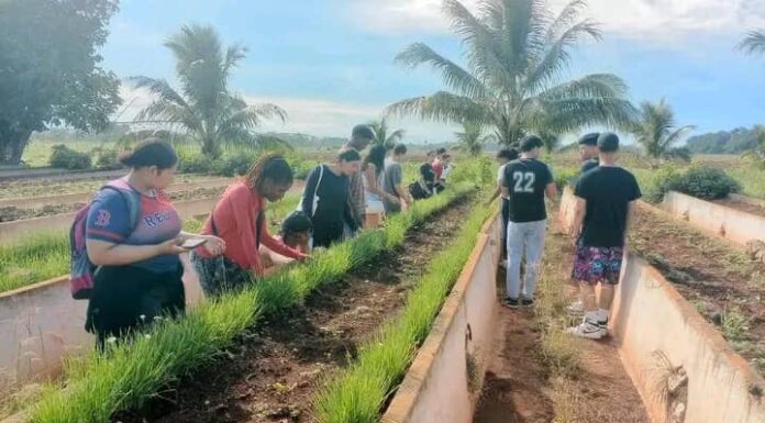 Estudiantes de primer año de la UNAH visitan por primera vez la Granja Universitaria El Guayabal