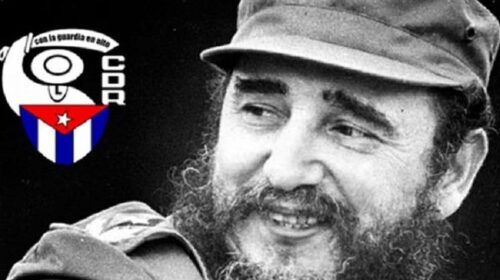 Una organización emblemática