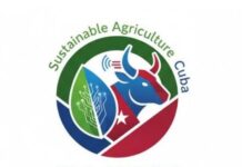 Avanza con paso firme Proyecto Europeo SAGRIT