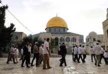 Colonos israelíes irrumpen en la mezquita de Al-Aqsa