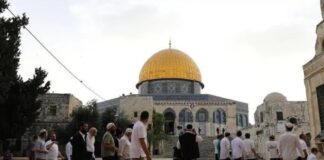 Colonos israelíes irrumpen en la mezquita de Al-Aqsa