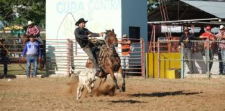 Mayabeque en la triangular occidental de rodeo en Pinar del Rio