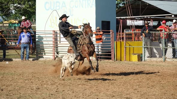 FOTO TOMADA FACEBOOK RODEO CUBA 1(1)