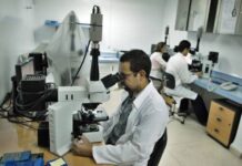 La juventud: eslabón decisivo en la ciencia cubana