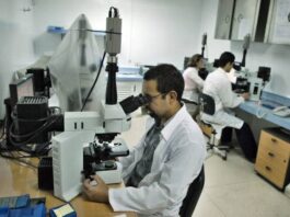 La juventud: eslabón decisivo en la ciencia cubana