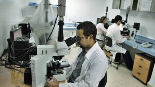 La juventud: eslabón decisivo en la ciencia cubana