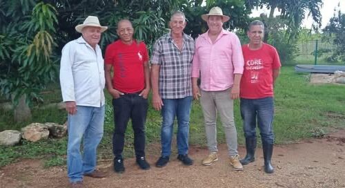 Refuerzan objetivos de trabajo del proyecto “abonos verdes” en Mayabeque