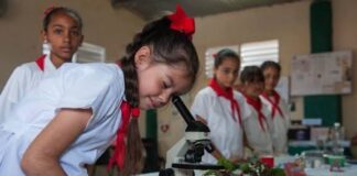 Futuros Profesionales y trabajadores creativos y capaces