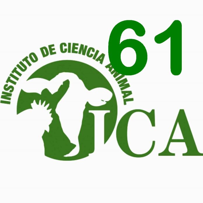 LOGO ICA