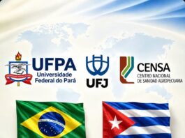 Fortalecen en Mayabeque relaciones bilaterales con universidades brasileñas
