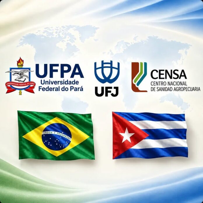 RELACIONES BILATERALES CENSA Y BRASIL 1