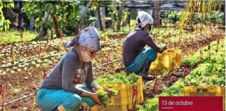 Un espacio para la mujer rural